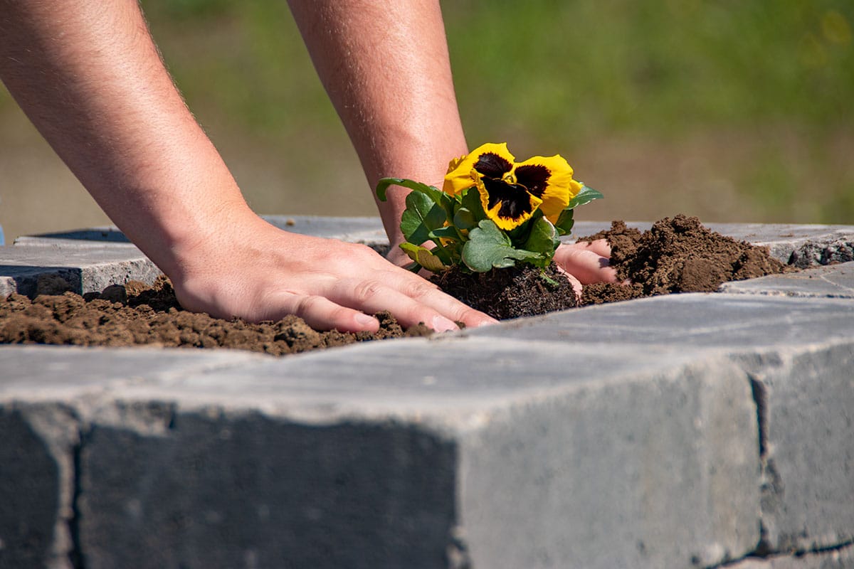 Chateau Wall planter flower Charcoal tumbled block