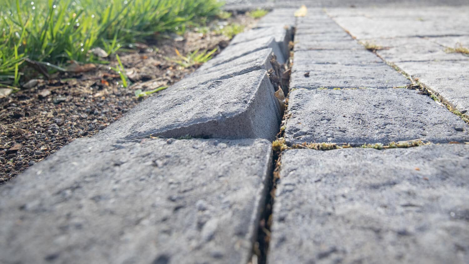 paver edging borders