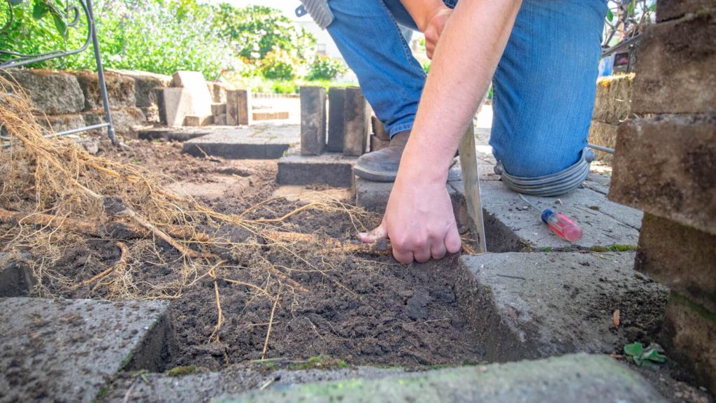 How to Remove Tree Roots Under Pavers DIY with Western Interlock