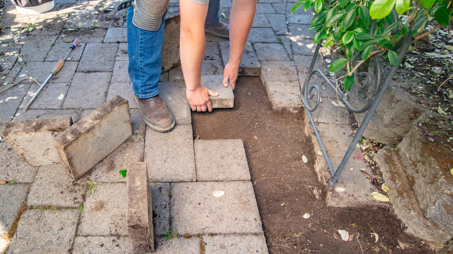 How to Remove Tree Roots Under Pavers DIY with Western Interlock