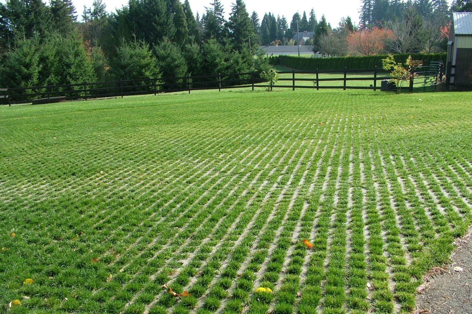 Permeable Pavers vs. NonPermeable Pavers What’s the Difference