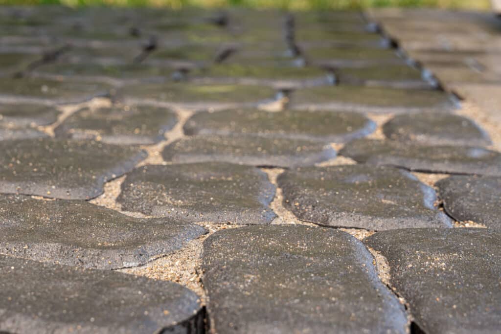 Jointing Compound vs. Polymeric Jointing Sand for Pavers Which Is Better?