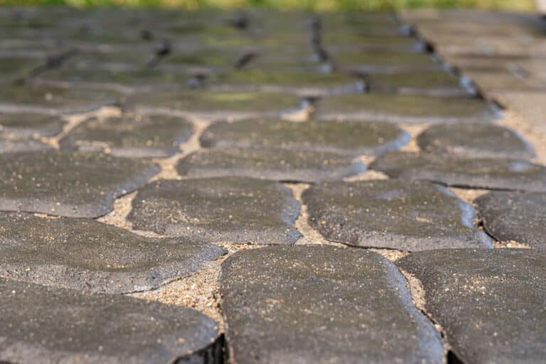 Jointing Compound vs. Polymeric Jointing Sand for Pavers Which Is Better?